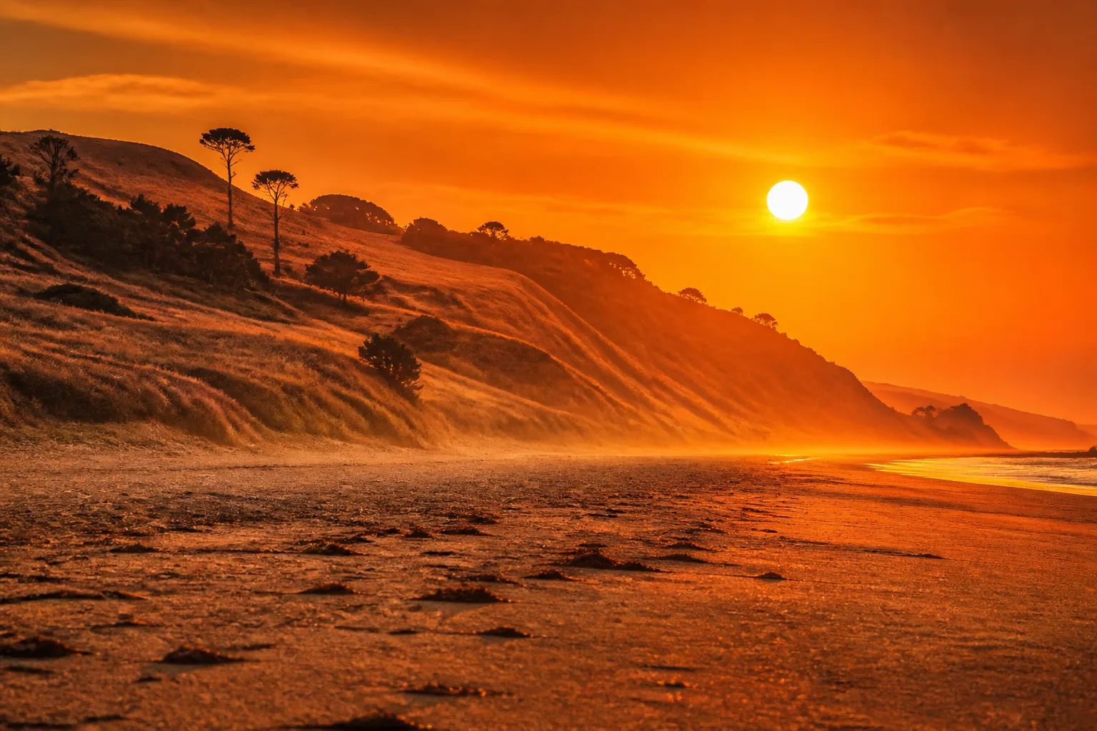 Heat Advisory Issued for Northern Californias Mendocino and Lake Counties as Temperatures Reach 100-110F